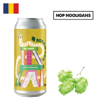 Hop Hooligans Bookworm 500ml CAN - Drink Online - Drink Shop