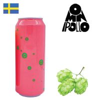 Omnipollo Bianca Noa Pecan Guava Lychee Passionfruit Mudcake 500ml CAN - Drink Online - Drink Shop